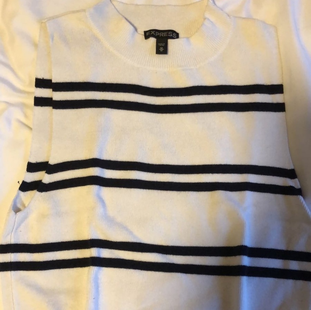 Express Striped Dress Shirt